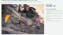 Paleontologists Excited To Find Dinosaur Skull With 'Facial Imperfections'