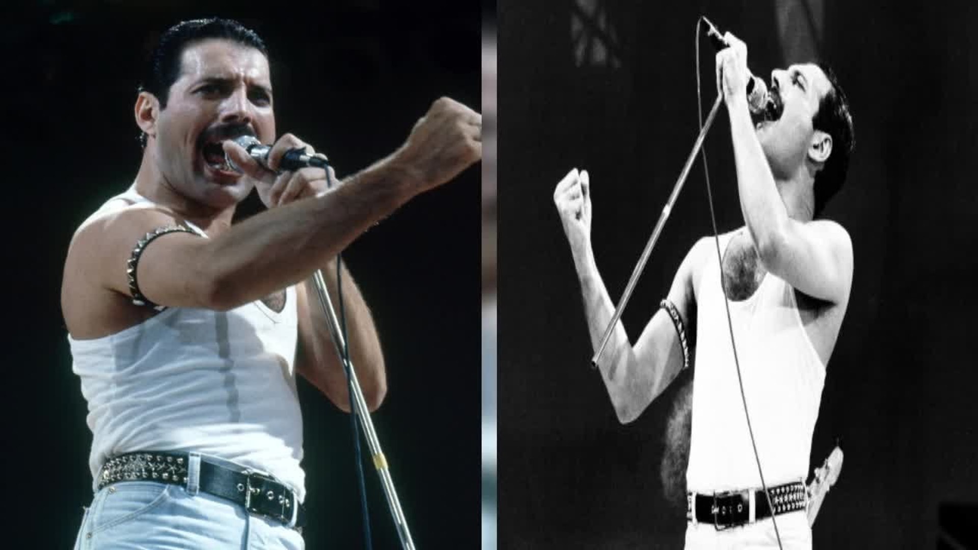 Freddie Mercury Revelations Sur Sa Discrete Derniere Soiree D 39 Anniversaire Video Dailymotion