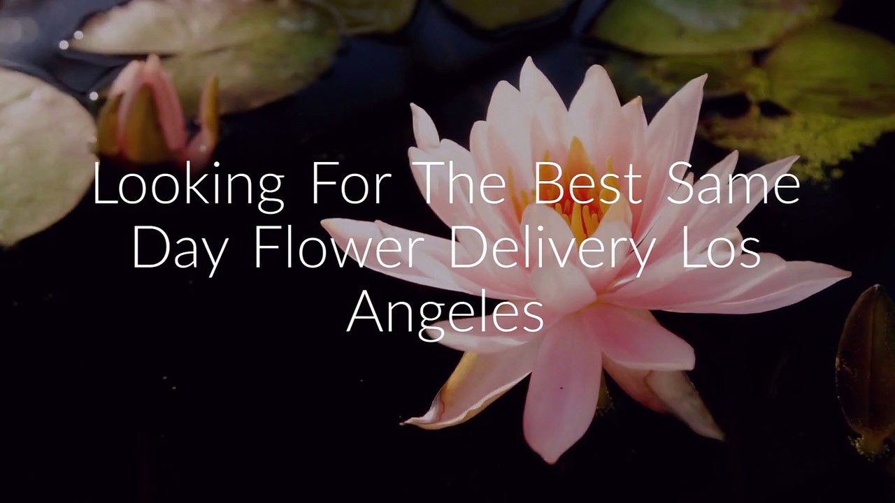 Same Day Flower Delivery Los Angeles CA Send Flowers 2139081591