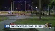 Man stabbed to death at park in Mesa