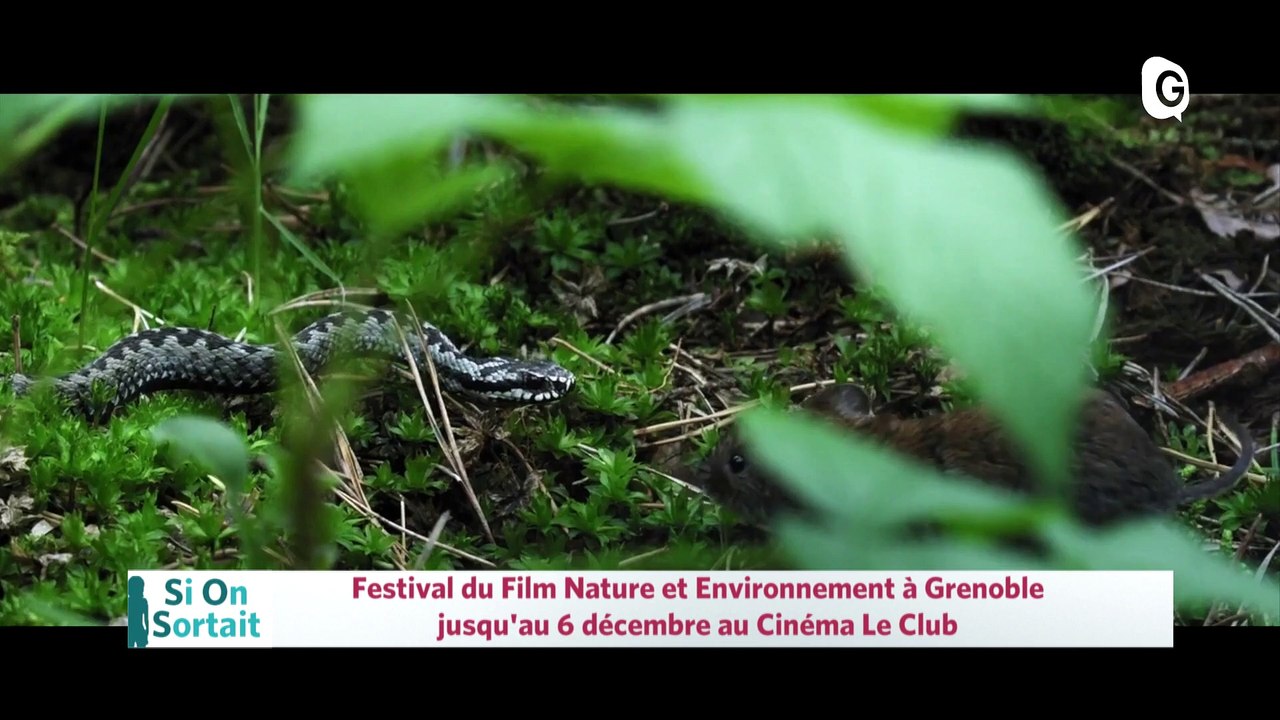 26 NOVEMBRE 2019 -  Festival du Film Nature et Environnement, Les désaxés,  Julie Perron"Baobabadidoua", Théâtre Bascule "Est-ce-que je peux sortir de table ?"