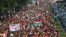 India's forest dwellers protest threat of eviction from lands