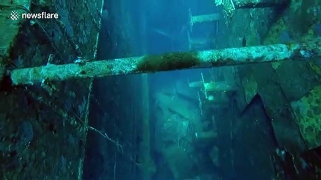 Further footage of Salem Express shipwreck in Egypt where belongings of passengers remain intact