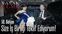 Ender ve Nadir nasıl bir araya geldi - Yasak Elma 58. Bölüm