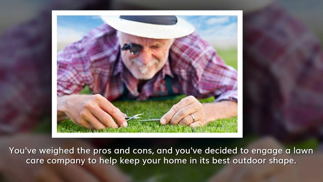 Questions to Ask Before Hiring a Lawn Care Company