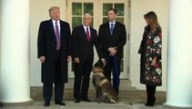 Trump condecora a Conan en la Casa Blanca, el perro que participó en la operación contra el líder del ISIS