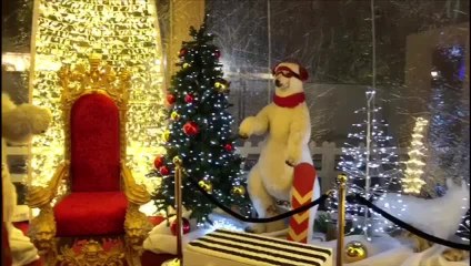 Dans les coulisses des Bulles enchantées