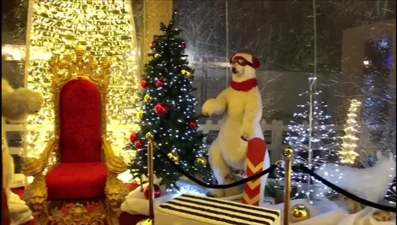 Dans les coulisses des Bulles enchantées