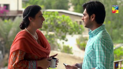 Soya Mera Naseeb Episode 116 HUM TV Drama 25 November 2019