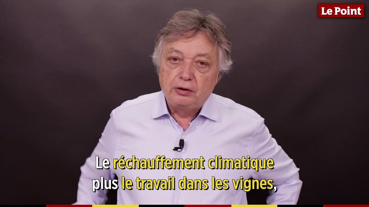 Comment le champagne évolue-t-il au fil des années ?