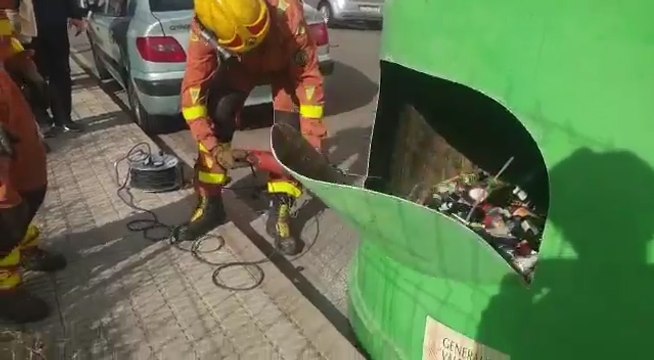 Rescatan tres gatos de un contenedor de vidrio en Picassent