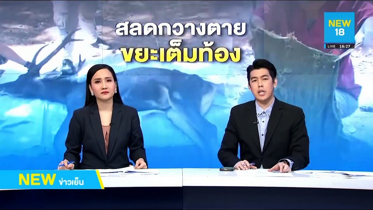 สลดผ่าซากกวางพบเศษพลาสติกเต็มท้อง | NEW18