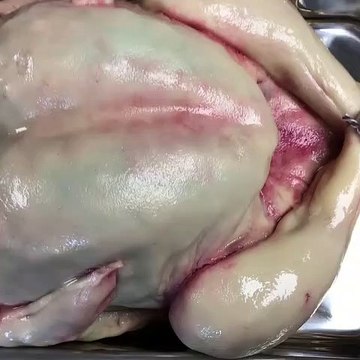 Cette pâtissière a réalisé un gâteau ressemblant à une dinde crue.