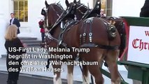 Melania Trump empfängt Weihnachtsbaum fürs Weiße Haus