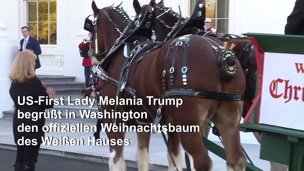 Melania Trump empfängt Weihnachtsbaum fürs Weiße Haus