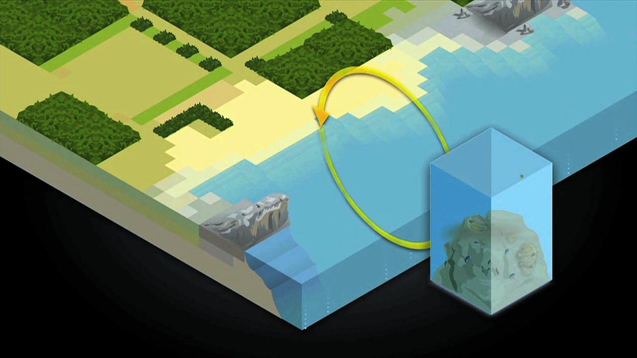 Videografik: der kohlenstoff-kreislauf