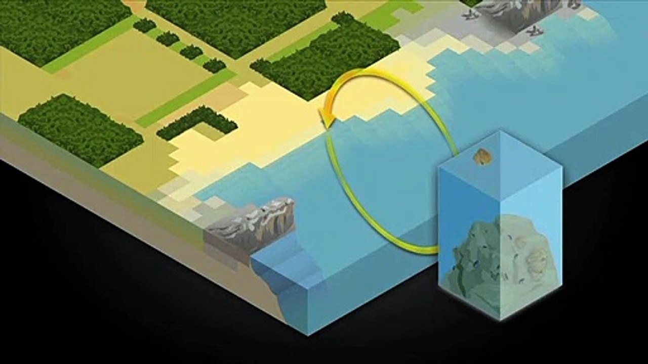 Videografik: Der Kohlenstoff-Kreislauf