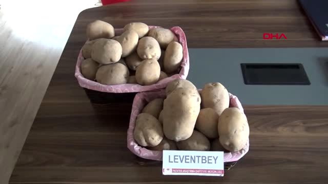 Niğde-milli patatesler, özel sektöre devredildi