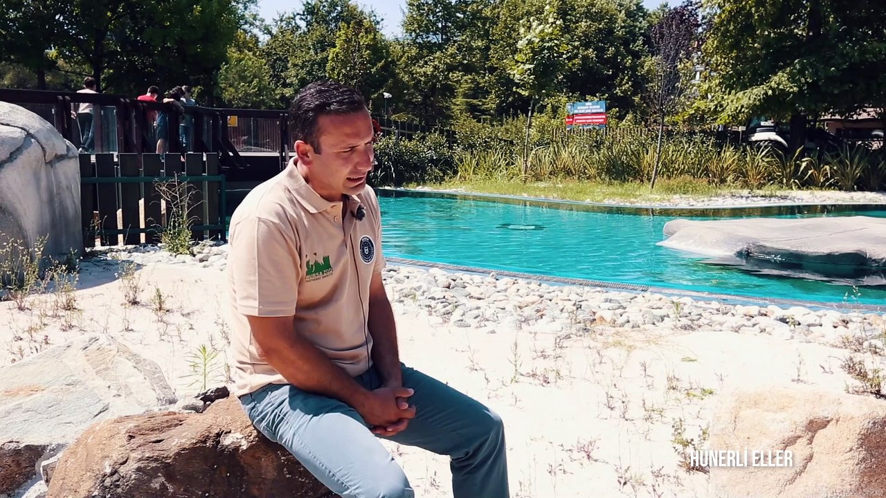 Hünerli Eller - Hayvanat Bahçesi
