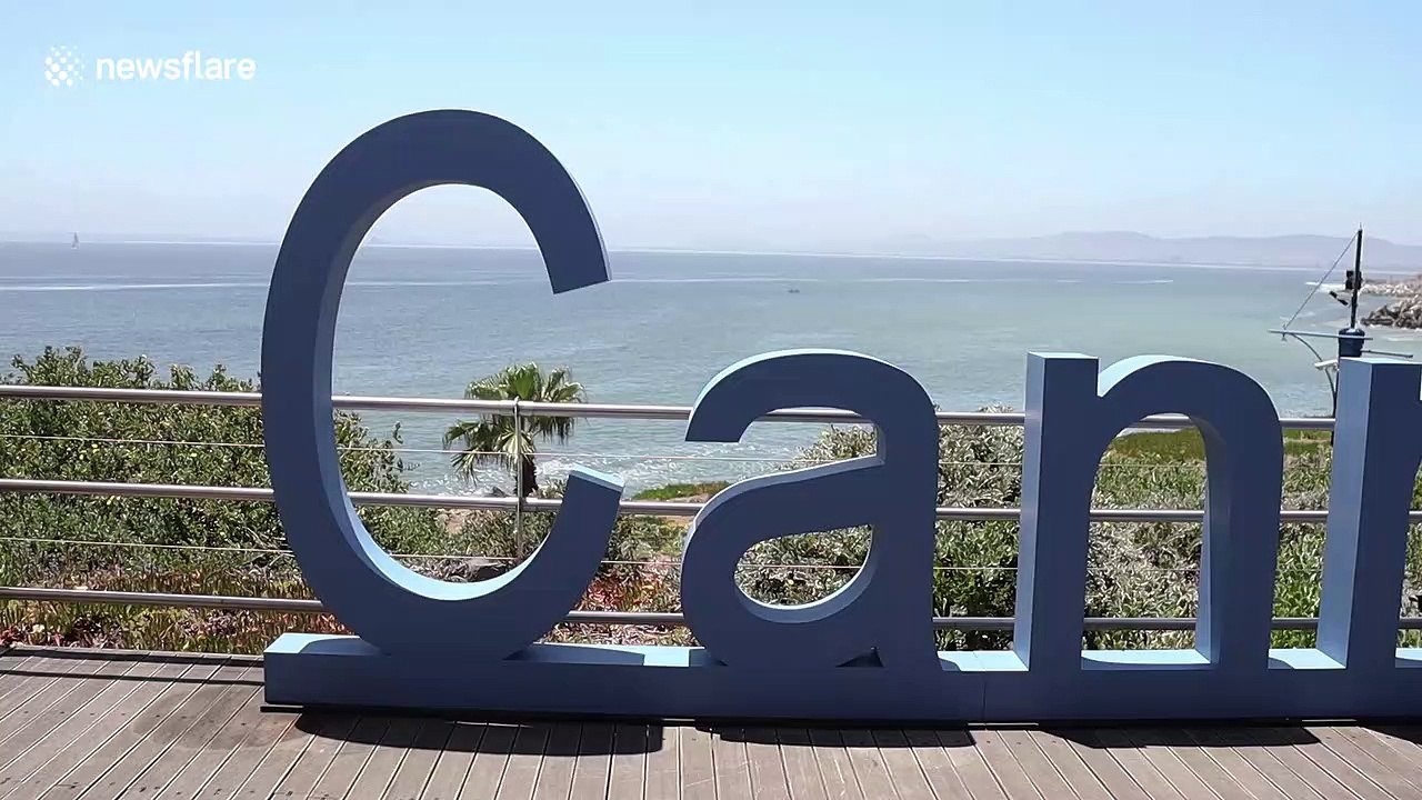 Businesses gather at Global Cannabis Summit hosted in Cape Town