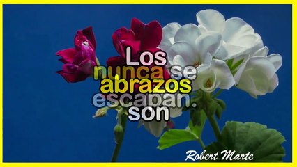  BUENOS DÍAS! _ Frases bonitas y lindas PARA TI (ABRELO)