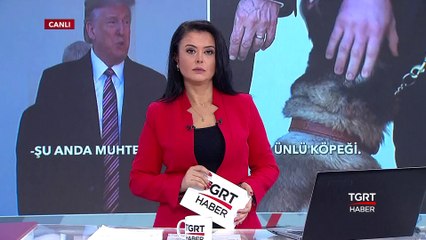 Trump Operasyonda Yaralanan Köpeğe Madalya Verdi