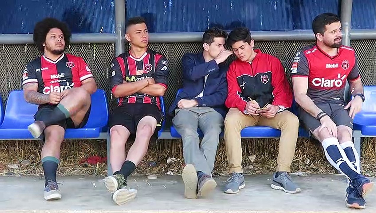 Tipos de Técnicos