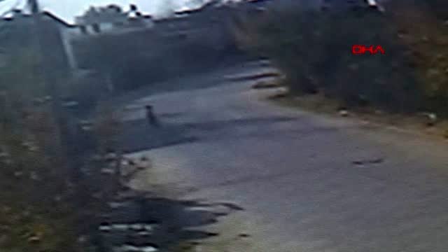 Adana boğazından bıçaklanan kadın, ambulansta eşinin saldırdığını söylemiş