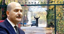 Bakan Soylu açıkladı! 11 Fransa vatandaşı DEAŞ'lı terörist ülkelerine gönderilecek