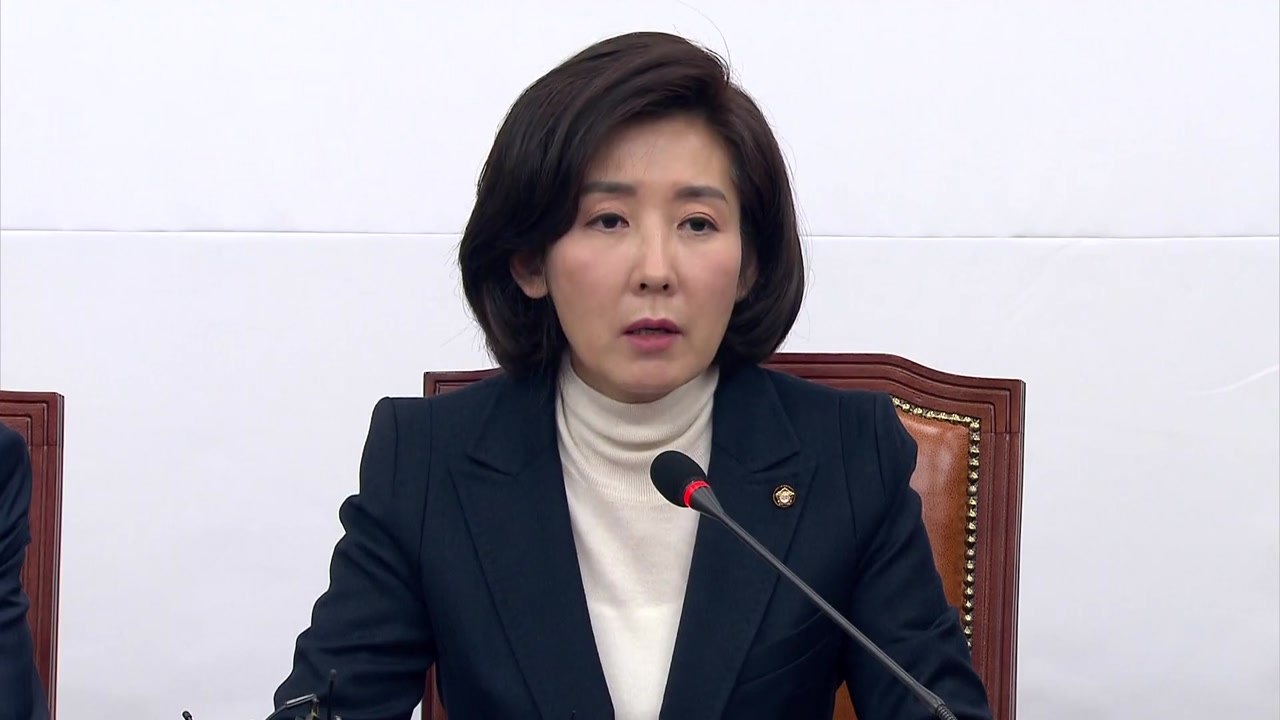 나경원 "보여주기식 북미회담 하지 말라는 것" / YTN