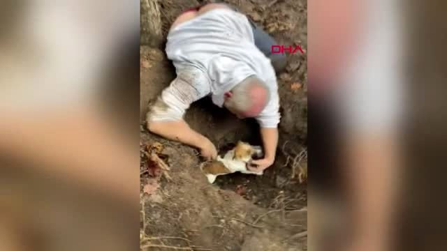 Kaybolan köpeğine kavuşan yaşlı adam gözyaşlarına boğuldu