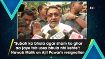 'Subah ka bhula agar sham ko ghar aa jaye toh usey bhula nhi kehte': Nawab Malik on Ajit Pawar's resignation