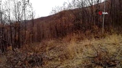 Bitlis'te terör örgütüne ait malzemeler böyle imha edildi