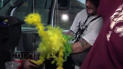 Signs of the Swarm - BUS INVADERS Ep. 1524