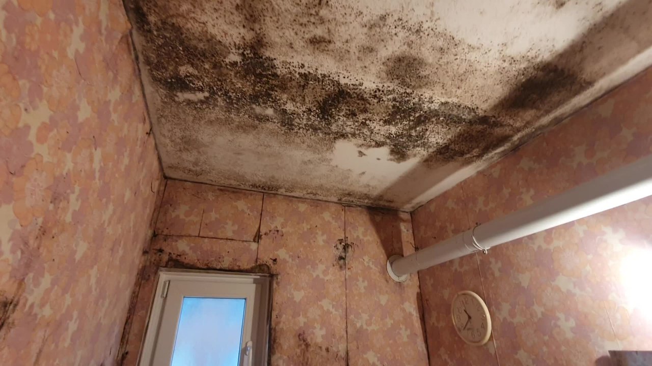 Thierry souffre de l'humidité dans son appartement, à la Sambrienne
