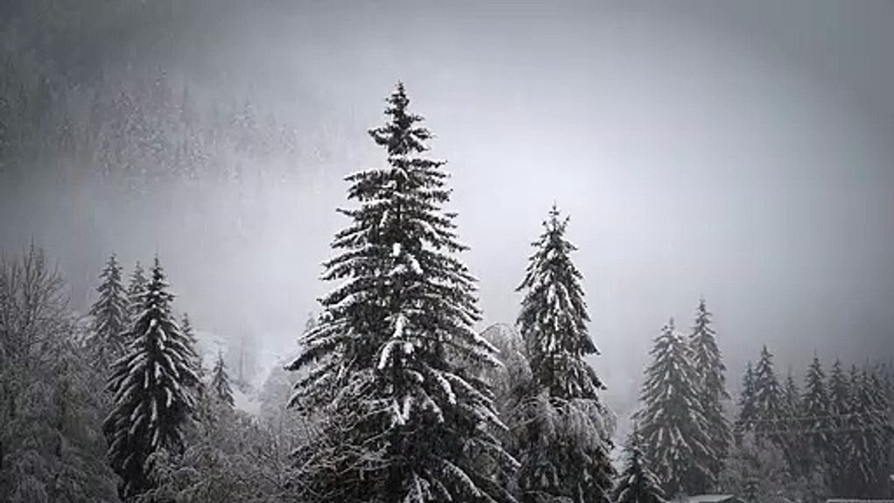 Snowfall test