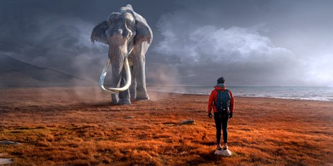 Los 10 sueños más comunes y su oculto, inconsciente u orínico significado