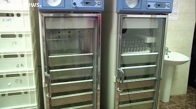 Это какое-то Зазеркалье : глава РУСАДА не видит оснований для оправдания РФ