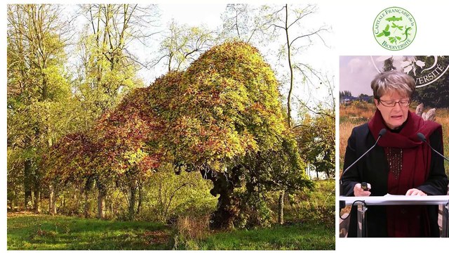 3- Metz - Services EcoSystémiques rendus par les Arbres Modulés selon l’Essence