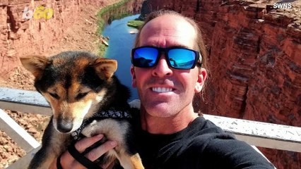 This Dog Loves to Ride Motorcycles