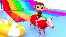 Learn Colors Baby Monkey Animal Foot Painting Finger Family Song for Kid Children