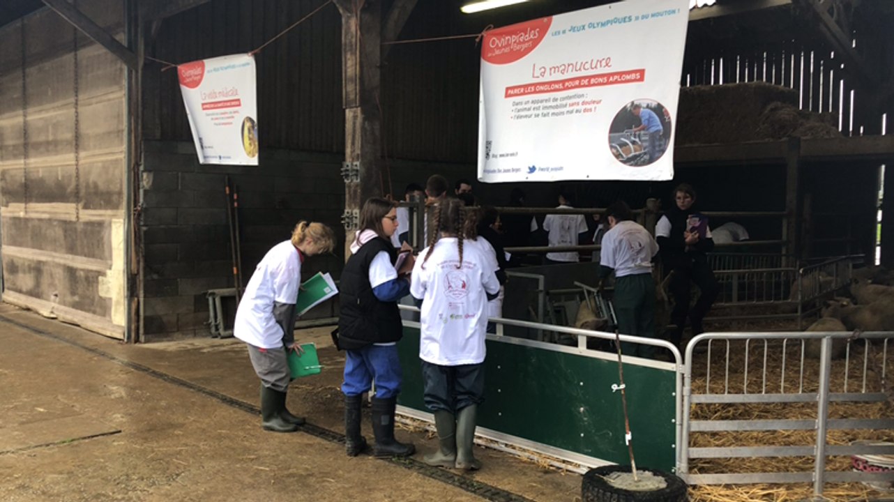 15e Ovinpiades des jeunes bergers