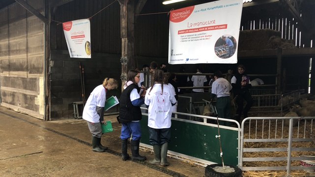 15e Ovinpiades des jeunes bergers