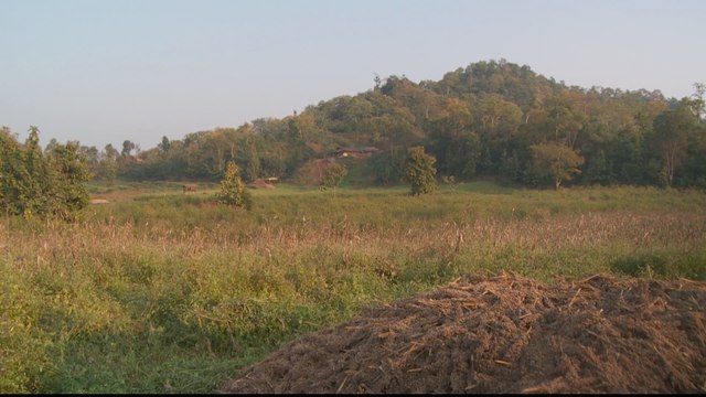 India's indigenous' right to live in forests under threat