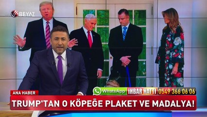 Beyaz Ana Haber 26 Kasım 2019
