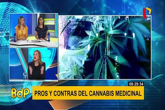 Cannabis medicinal: todo lo que debes saber sobre su uso con fines terapéuticos