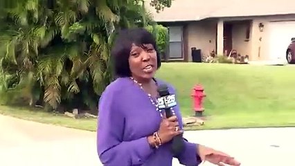 Labrador Retriever conduz carro aos círculos durante uma hora