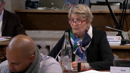 Christine RENAUDIN-JACQUES. Modification du règlement des équipes pluridisciplinaires 25 novembre 2019