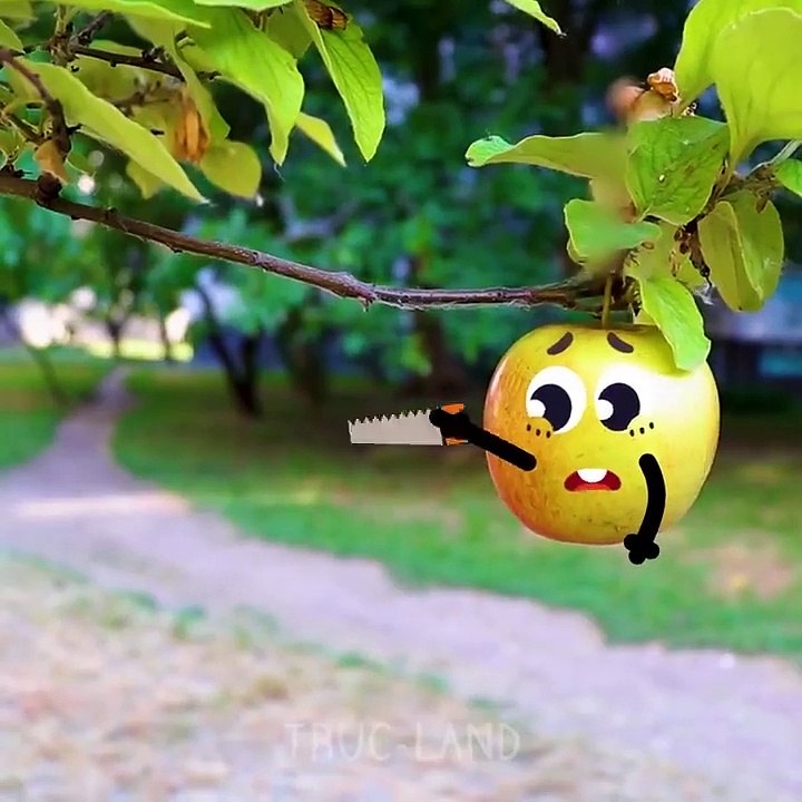 Ces légumes hilarants et fruits bruyants ne te laisseront pas t’ennuyer – TRUC-LAND