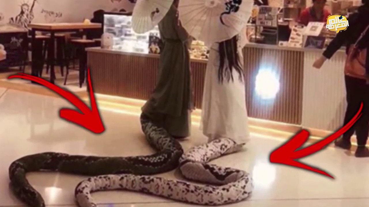 خمسة أشخاص غريبون لن تصدق أنهم موجودون !!